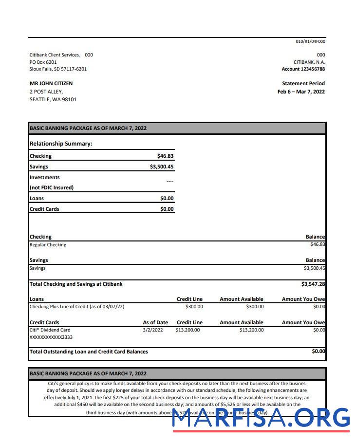 Австралия Citibank Банковский Выписка из банка Excel шаблон