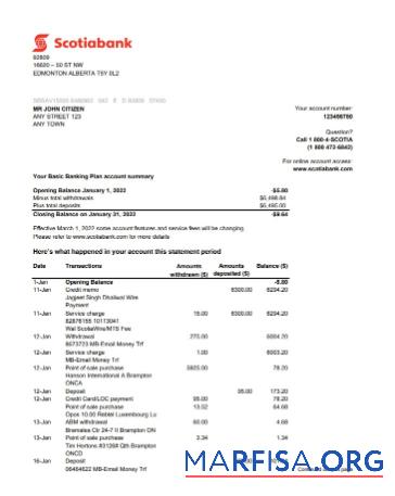 Австралия Scotiabank Выписка из банка Excel шаблон