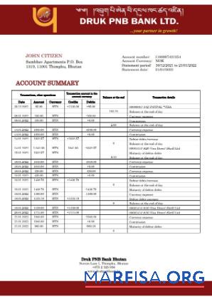 Бутан Druk PNB Банковский Выписка из банка Word дизайн