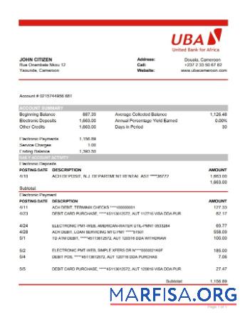 Камерун UBA Банковский Выписка из банка Excel шаблон