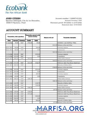 Чад Ecobank Банковский Выписка из банка Excel дизайн