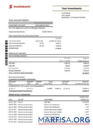 Чили Scotiabank Банковский Выписка из банка Excel шаблон