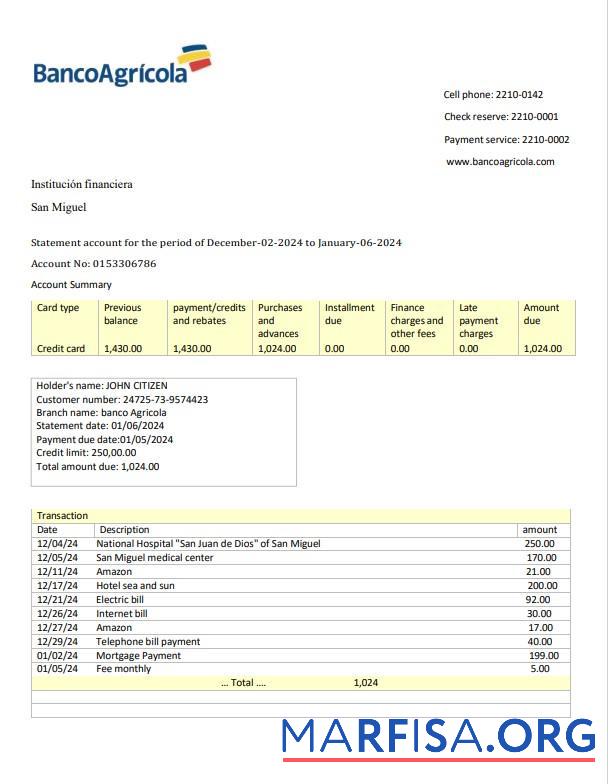 Доминиканская Республика Banco Agricola Банковский Выписка из банка 3 ΓÇô 6 months Word предпросмотр