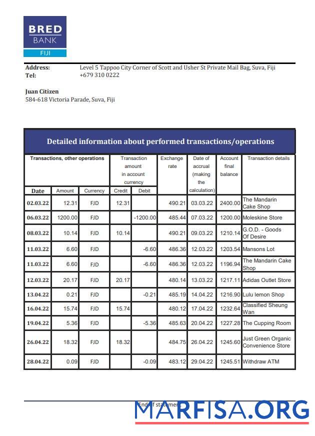 Фиджи Bred Банковский Выписка из банка Excel дизайн
