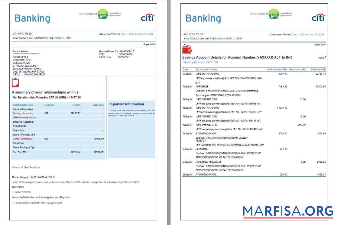 Индия Citibank Банковский Выписка из банка Word 6 pages дизайн