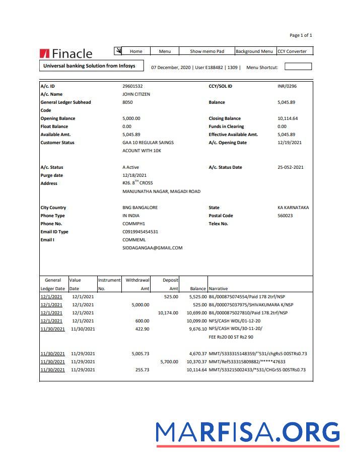 Индия Finacle Банковский Выписка из банка Excel шаблон