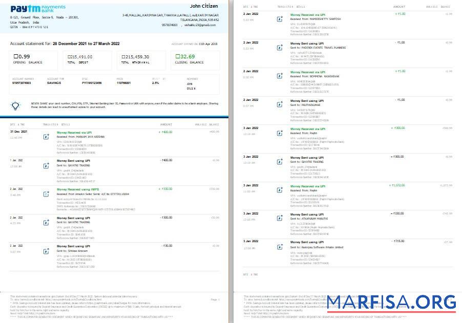 Индия Paytm Payments Банковский Выписка из банка Word 2 pages шаблон