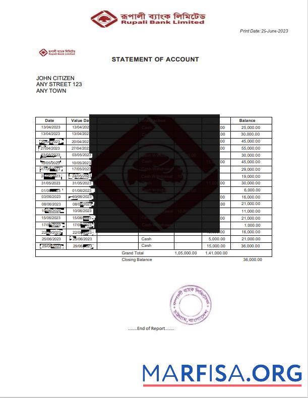 Индия Rupali Limited Банковский Выписка из банка Word шаблон
