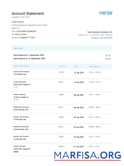 Литва Verse Payments┬áАккаунт Выписка из банка Word макет