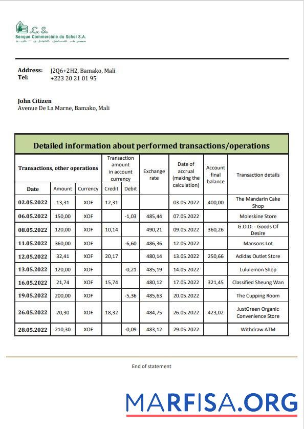 Мали Banque Commerciale du Sahel Банковский Выписка из банка Word образец