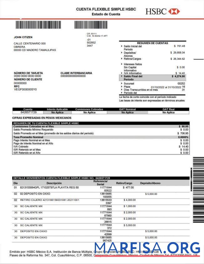 Мексика HSBC Банковский Выписка из банка Word дизайн