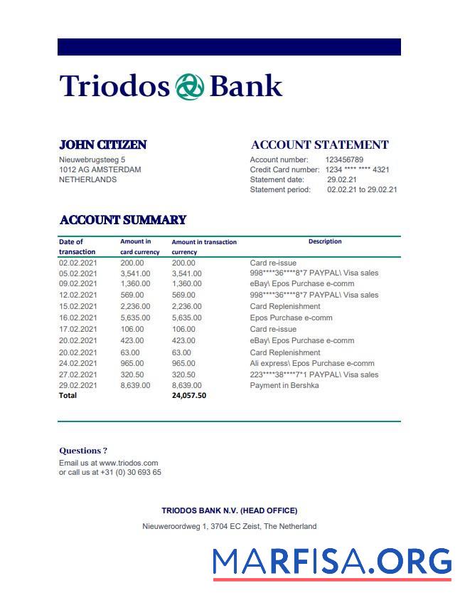 Нидерланды Triodos Банковский Выписка из банка Excel дизайн
