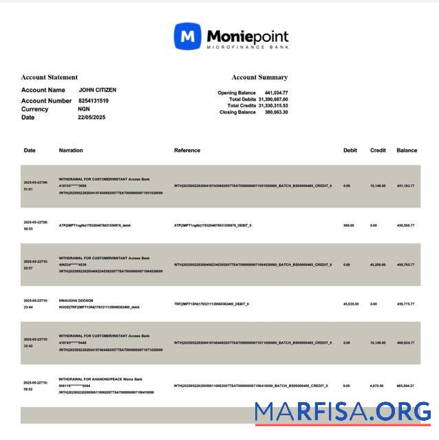 Нигерия Moniepoint Microfinance Банковский Аккаунт Выписка из банка┬áWord образец