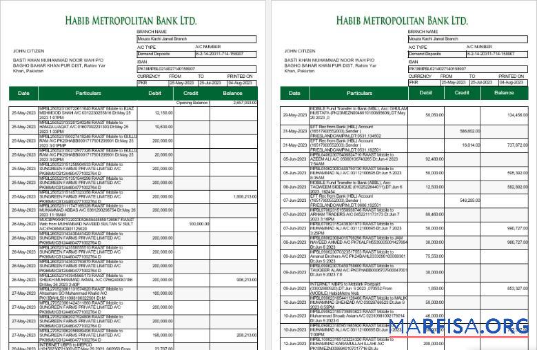 Пакистан Habib Metropolitan Банковский Выписка из банка Word 5 pages 1 2 дизайн