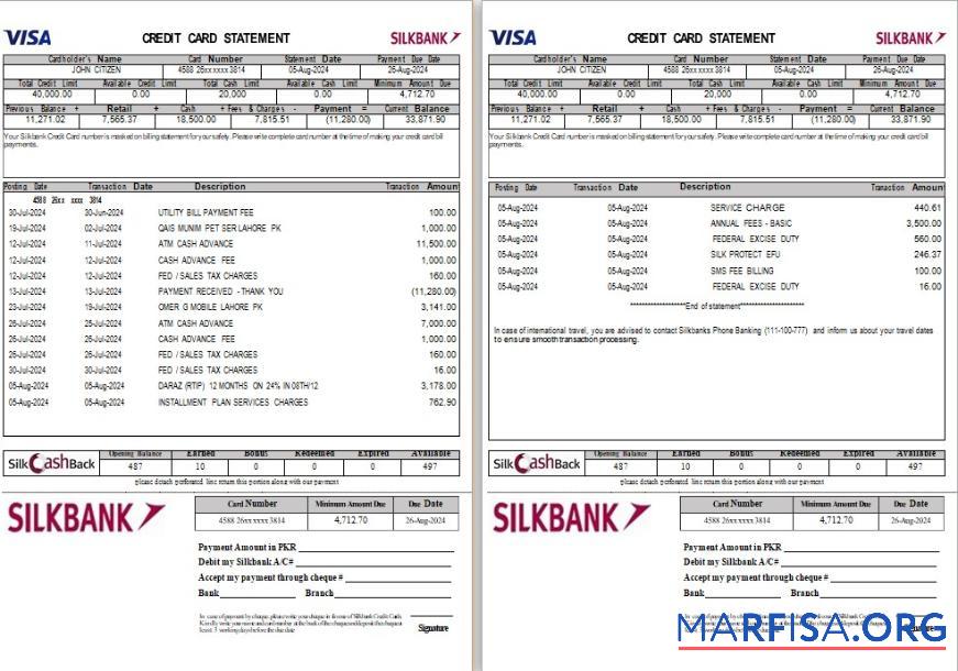 Пакистан Silkbank Выписка из банка Word 2 pages образец