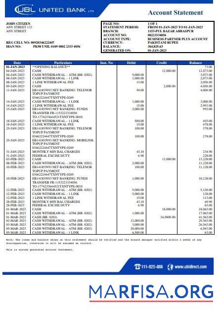 Пакистан UBL Банковский Выписка из банка Word дизайн
