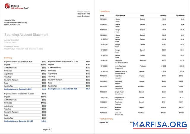Пакистан┬áMobilink Microfinance Банковский Выписка из банка Word 2 pages, Версия 2 макет