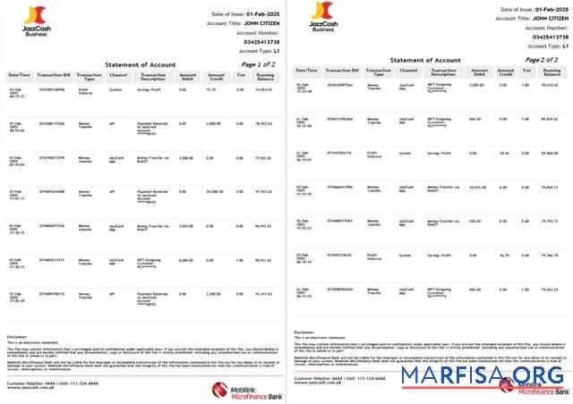 Пакистан┬áMobilink Microfinance Банковский Выписка из банка Word 2 pages предпросмотр