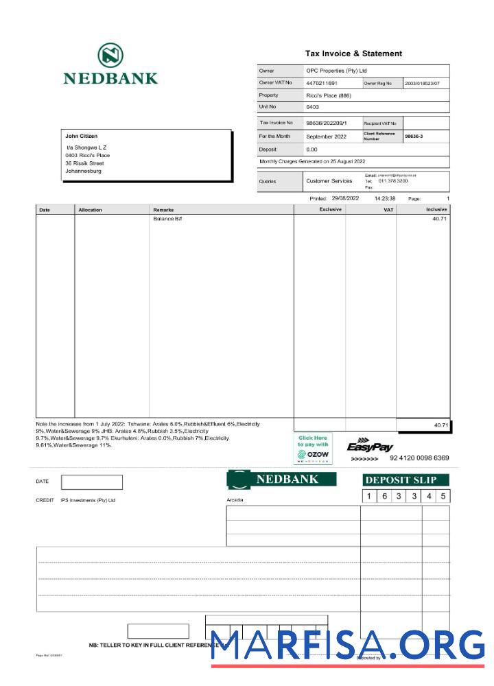 Южная Африка Nedbank Выписка из банка Word предпросмотр