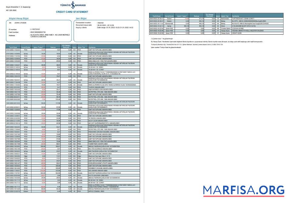 Турция Bankasi Банковский Выписка из банка Word 2 pages дизайн