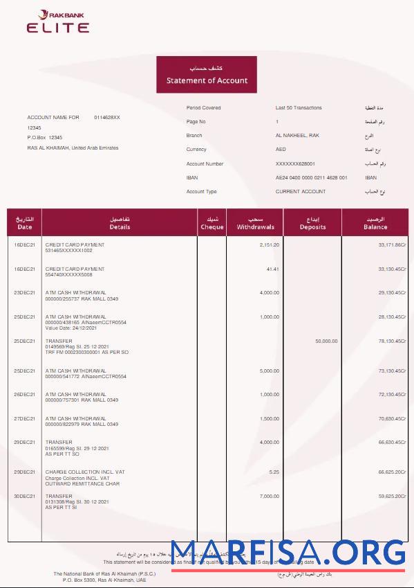ОАЭ Rakbank Elite Банковский Выписка из банка Word предпросмотр