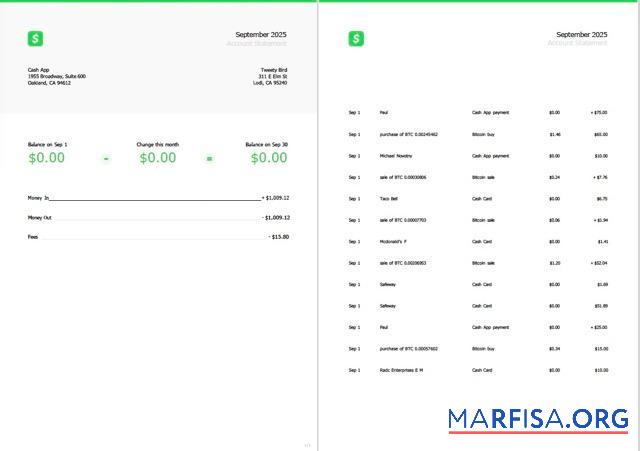 США Cash App Аккаунт Выписка из банка Word 2 pages шаблон