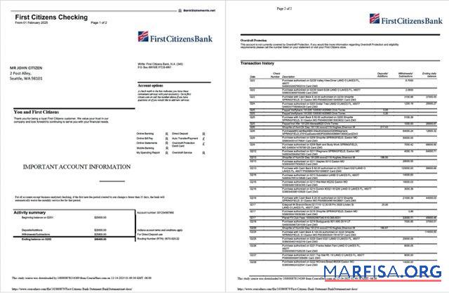 США First Citizens Банковский Выписка из банка Word 2 pages макет