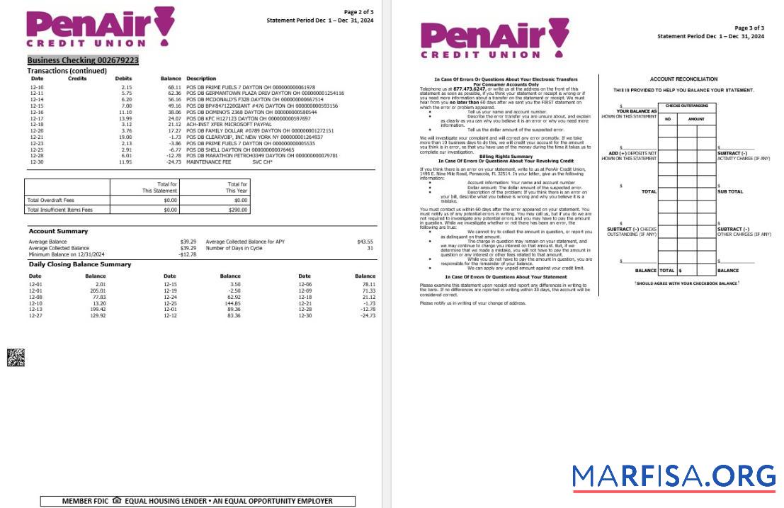 США Florida PenAir Кредит союз Банковский Выписка из банка Word 3 pages 2 дизайн