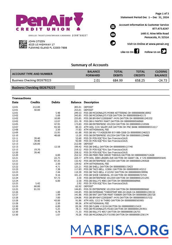 США Florida PenAir Кредит союз Банковский Выписка из банка Word 3 pages образец