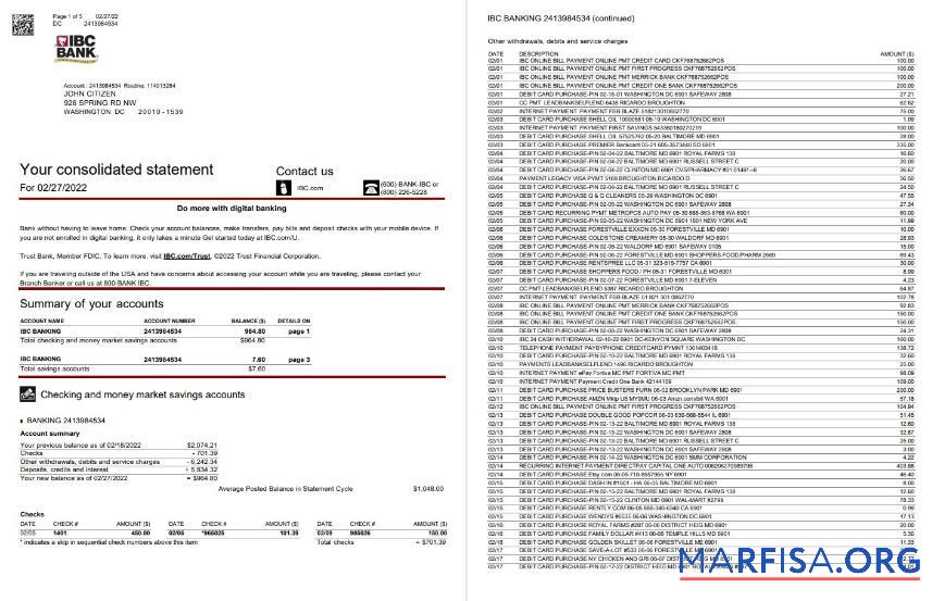 США IBC Банковский Выписка из банка Word 5 pages макет
