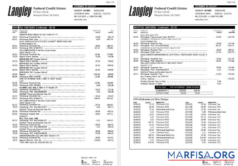 США Langley Federal Кредит союз Банковский Выписка из банка Word 6 pages 2 образец