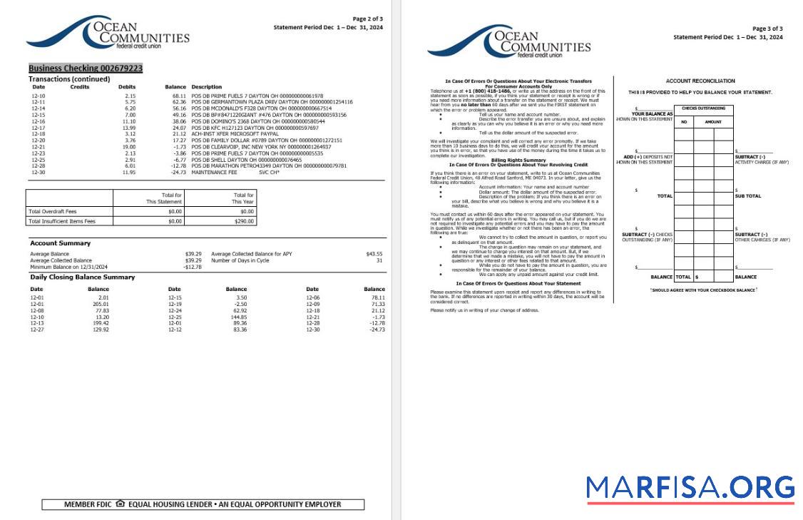 США Maine Ocean Communities Federal Кредит союз Банковский Выписка из банка Word 3 pages 2 макет