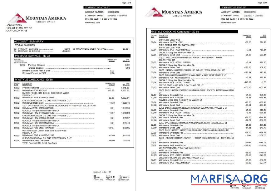 США Mountain Америка Кредит союз Выписка из банка Word 6 pages образец