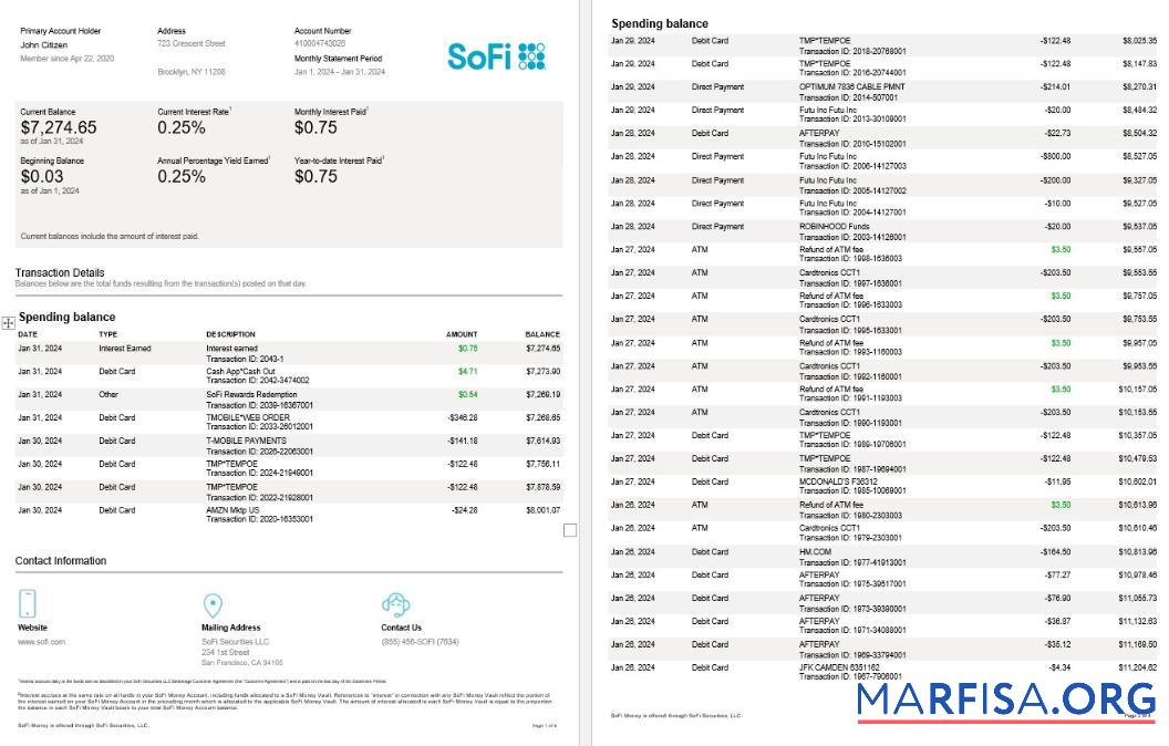 США Sofi Банковский Выписка из банка Word 4 pages дизайн