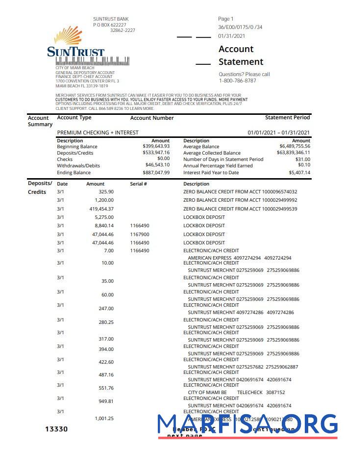 США SunTrust Банковский proof of address Выписка из банка Excel предпросмотр
