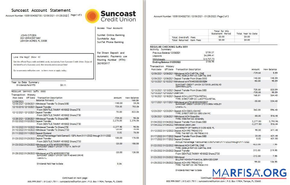 США Suncoast Банковский Выписка из банка Word 3 pages дизайн