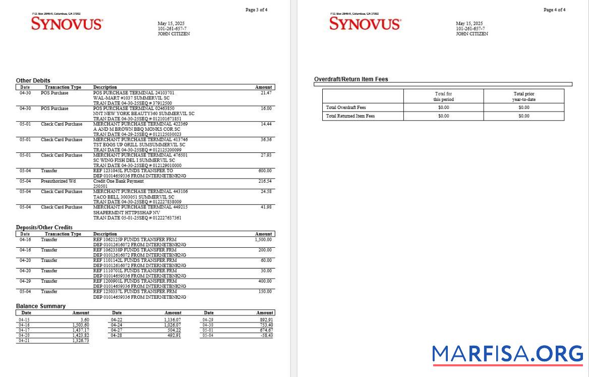 США Synovus Банковский Выписка из банка Word 4 pages 2 образец