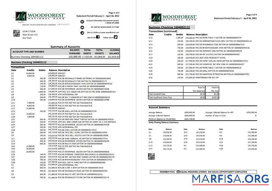 США Woodforest Банковский Выписка из банка Excel 3 pages шаблон