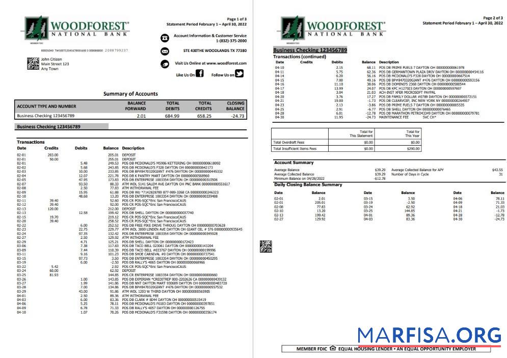 США Woodforest Банковский Выписка из банка Word 3 pages дизайн