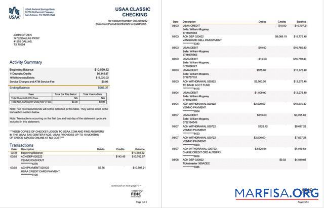 USAA Federal Savings Банковский Выписка из банка Word 2 pages дизайн