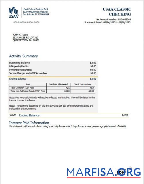 USAA Federal Savings Банковский Выписка из банка Word Версия 2 образец