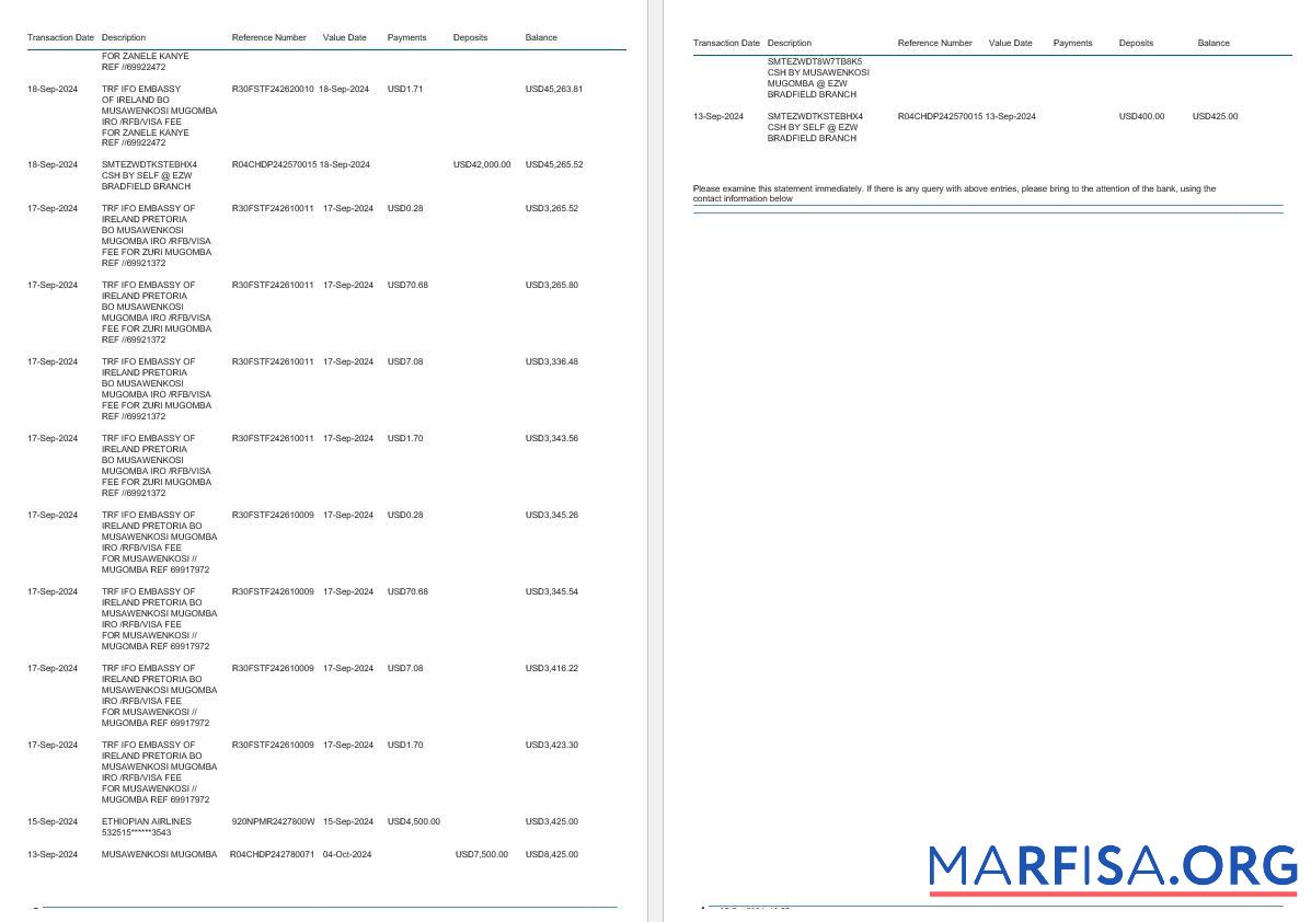 Зимбабве Ecobank Банковский Выписка из банка Word 4 pages 2 образец