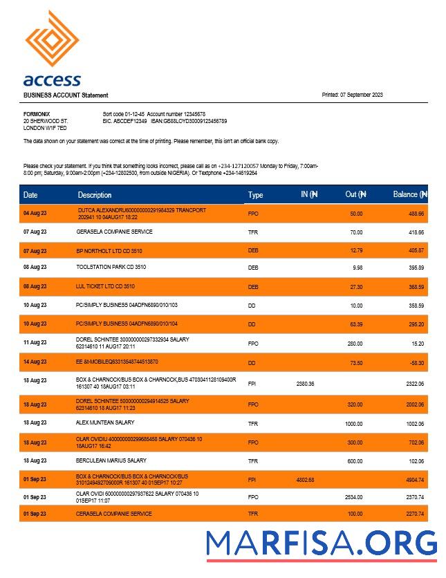 Realistisch Access Bank Unternehmen checking Konto Kontoauszug Word and PDF Vorlage