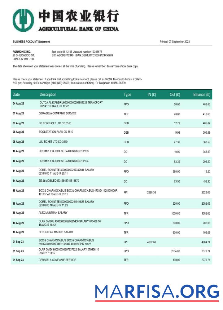 Realistisch Agricultural Bank of China Geschäft Konto Kontoauszug Word and PDF Vorlage
