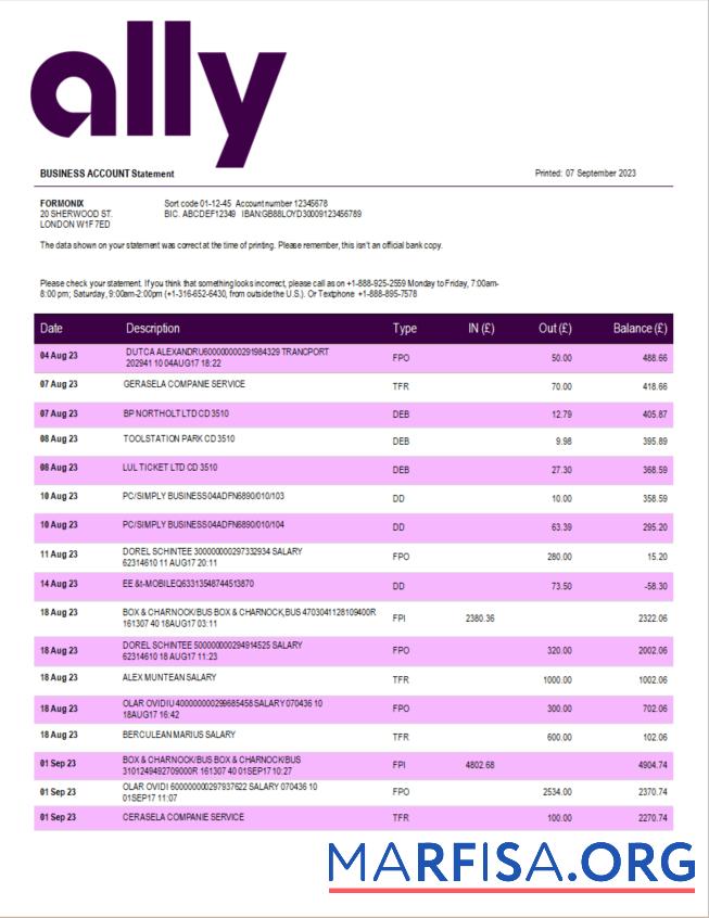 Professionell Ally Bank enterprise Kontoauszug Word and PDF Vorlage
