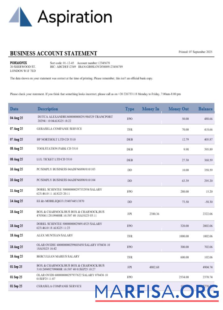 Premium Aspiration Bank Geschäft Konto Kontoauszug Word and PDF Vorlage