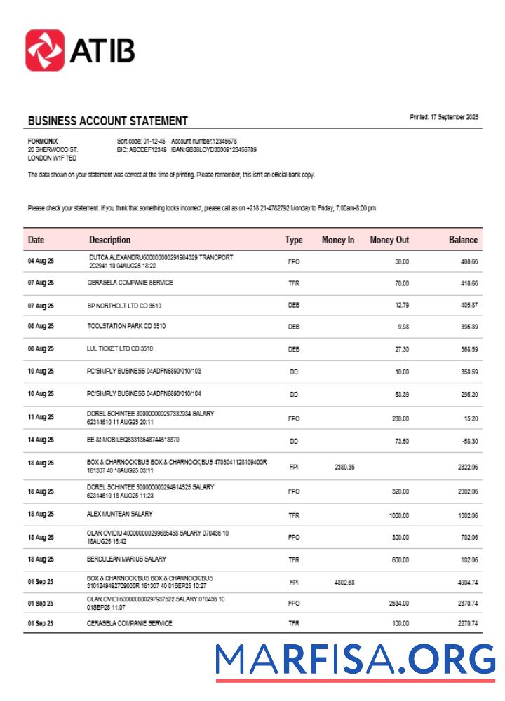 Professionell Assaray (ATIB)firm Konto Kontoauszug Word and PDF Vorlage (1)