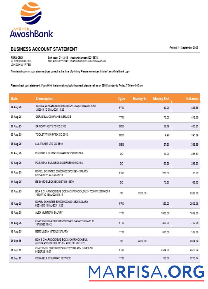 Premium Awash Bank firm Konto Kontoauszug Word and PDF Vorlage