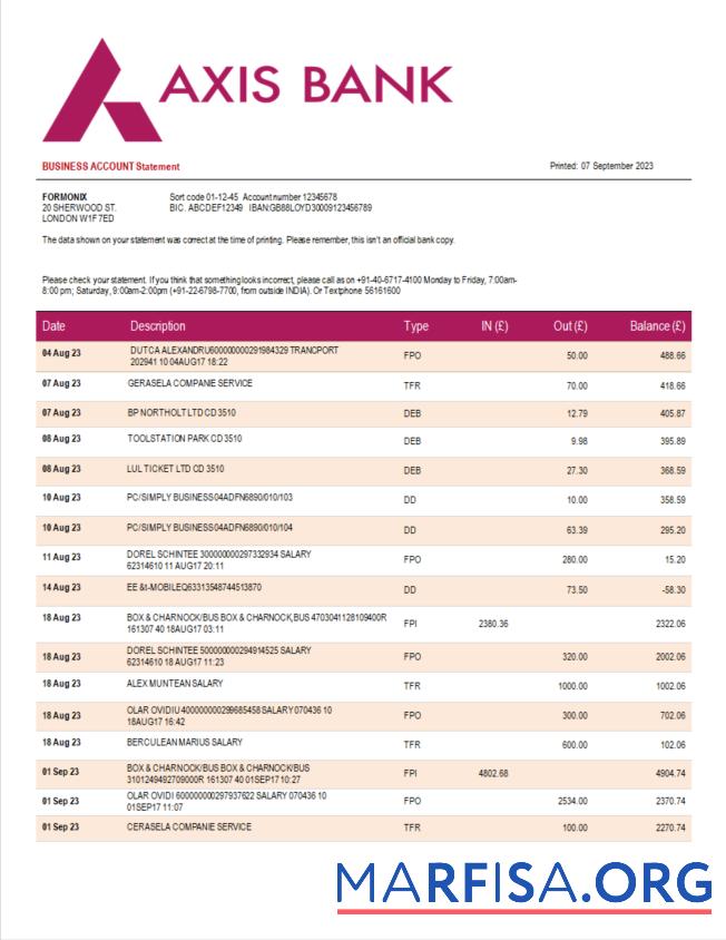 Realistisch Axis Bank enterprise Kontoauszug Word and PDF Vorlage