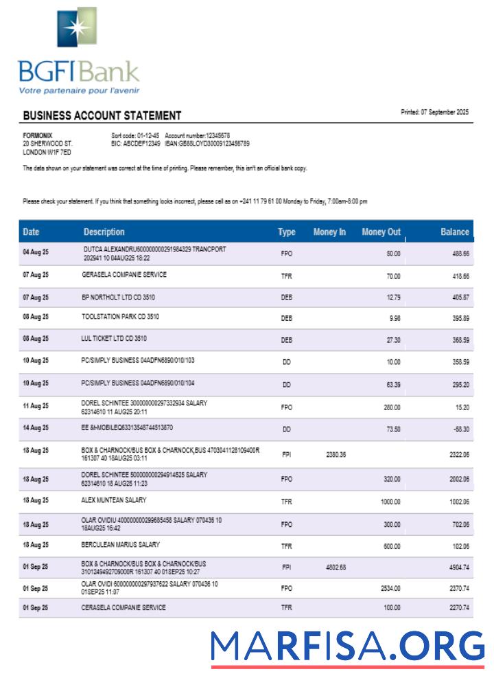 BGFI Bank firm Konto Kontoauszug Word and PDF Format Vorschau